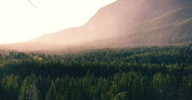 Free 15 Minute Phone Consultation *REQUIRED TO INITIATE CARE*